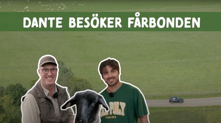Dante Besöker Fårbonden