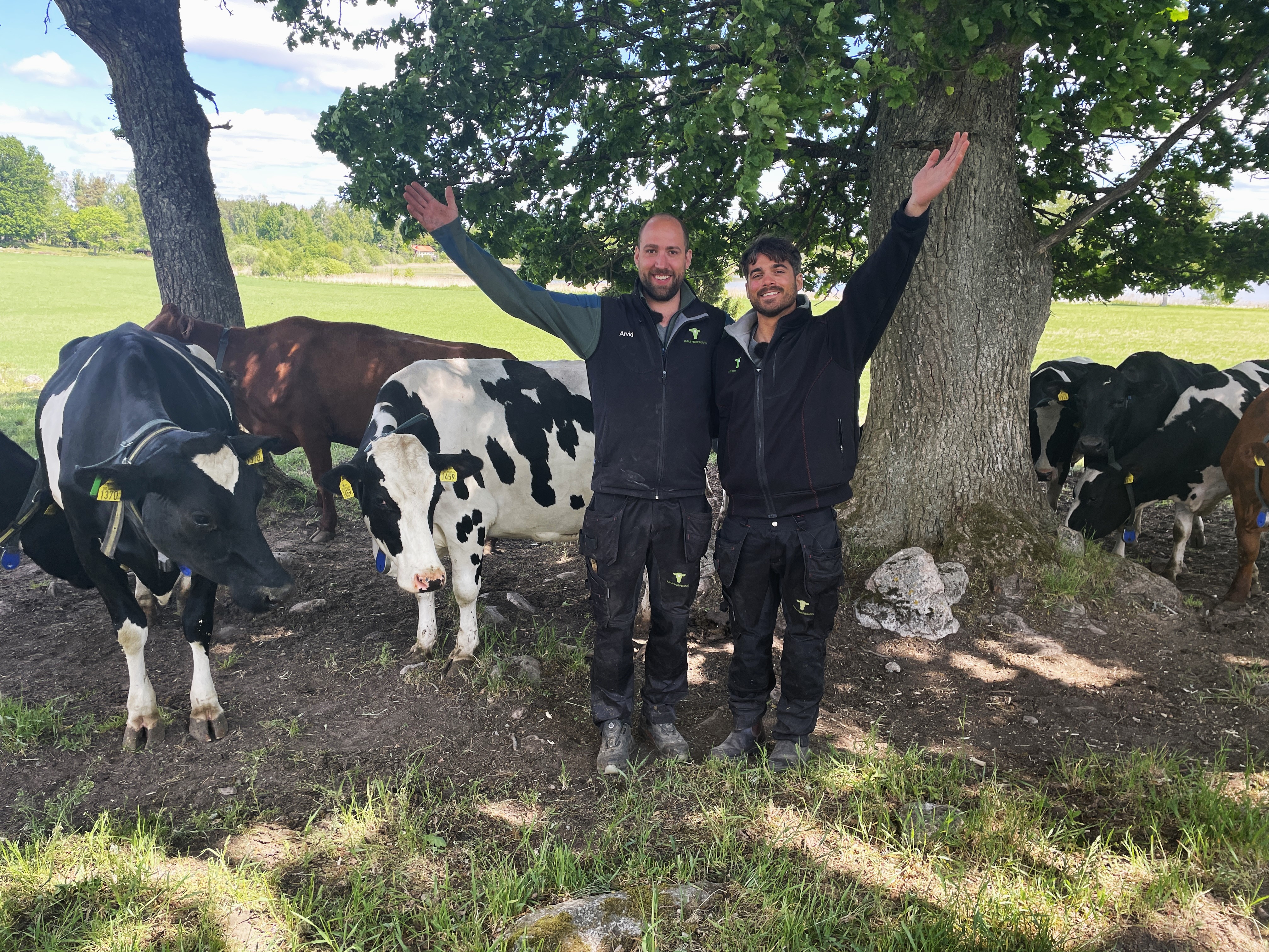 Dante Och Arvid I Kohage