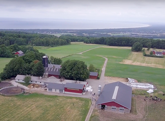 Wilamstudbes Denna video är textad.