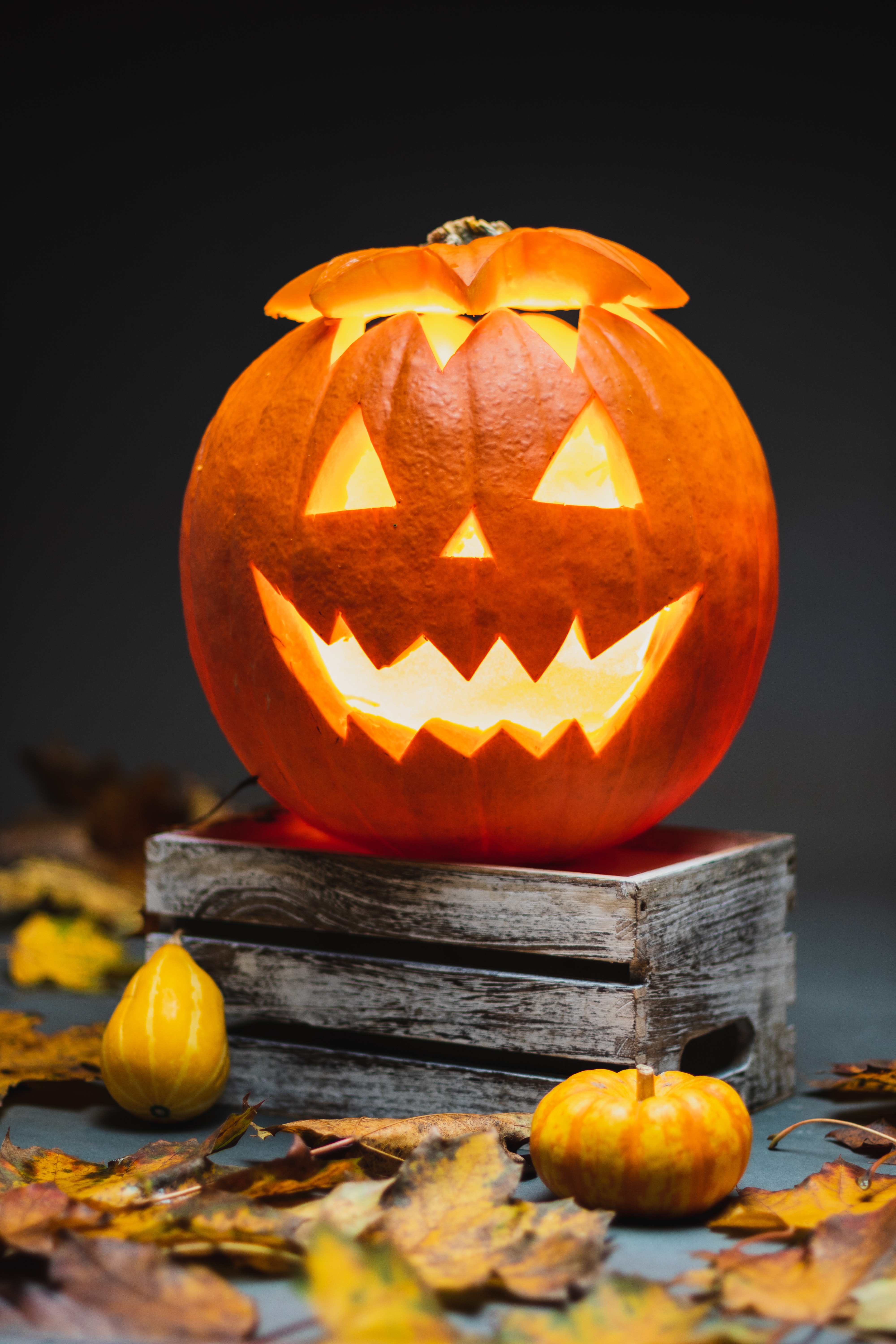 Pumpa Utskuren