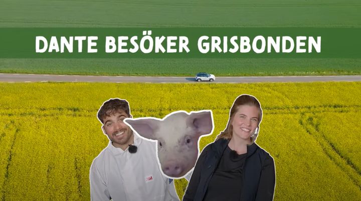 Dante Besöker Grisbonden