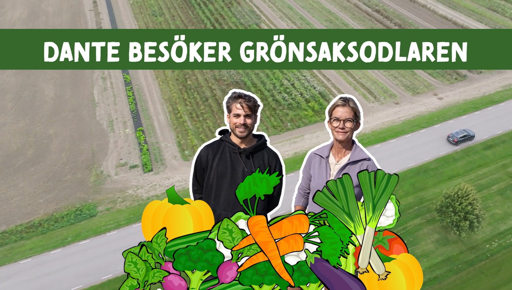 Dante Grönsaker Denna video är textad.