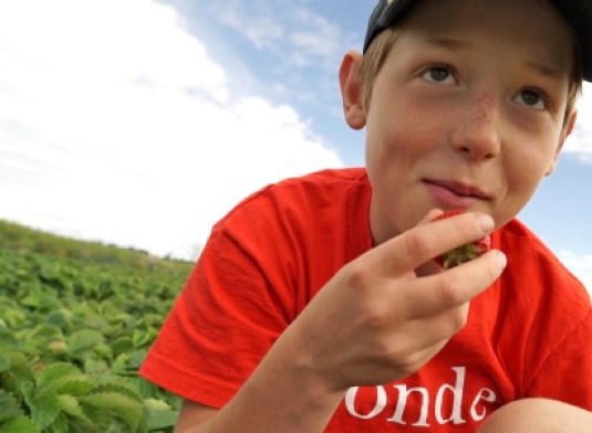 Adam3 Denna video är textad.