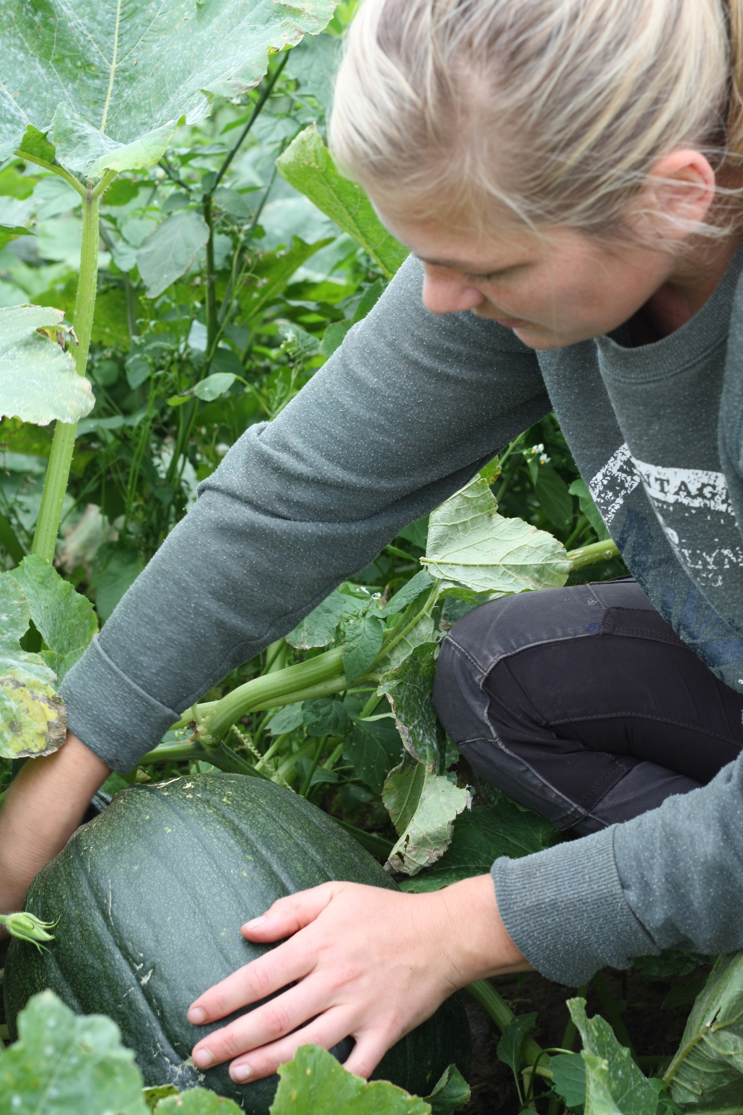 Josefin Med Gron Pumpa
