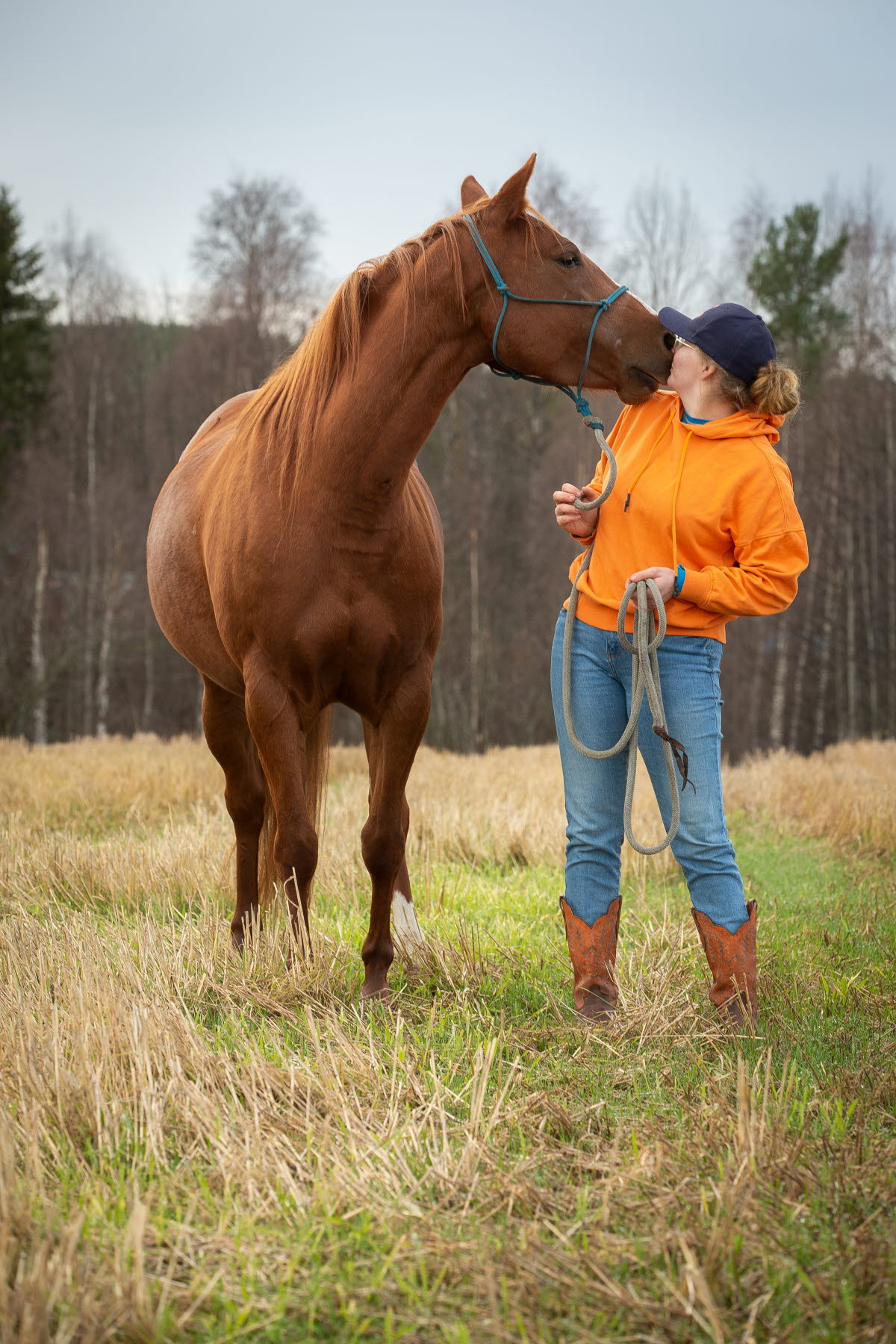 Hippolog